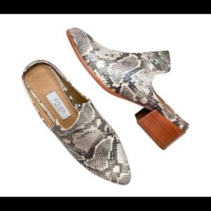 Steve Madden Deandra snake print mules. 8.5